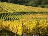 2004-10-24_15-05-07_Octobre_135,0mm_1_125_eme_DiMAGE A2